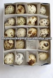 quail eggs boxes