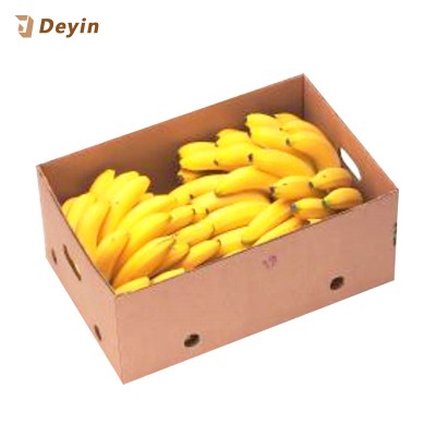 Corrugated Cardboard Carton Boxes for Fruit and Vegetables