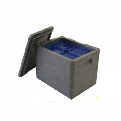 2019 Eco-Friendly Shipping Epp Insulated Foam Large Cooler Box